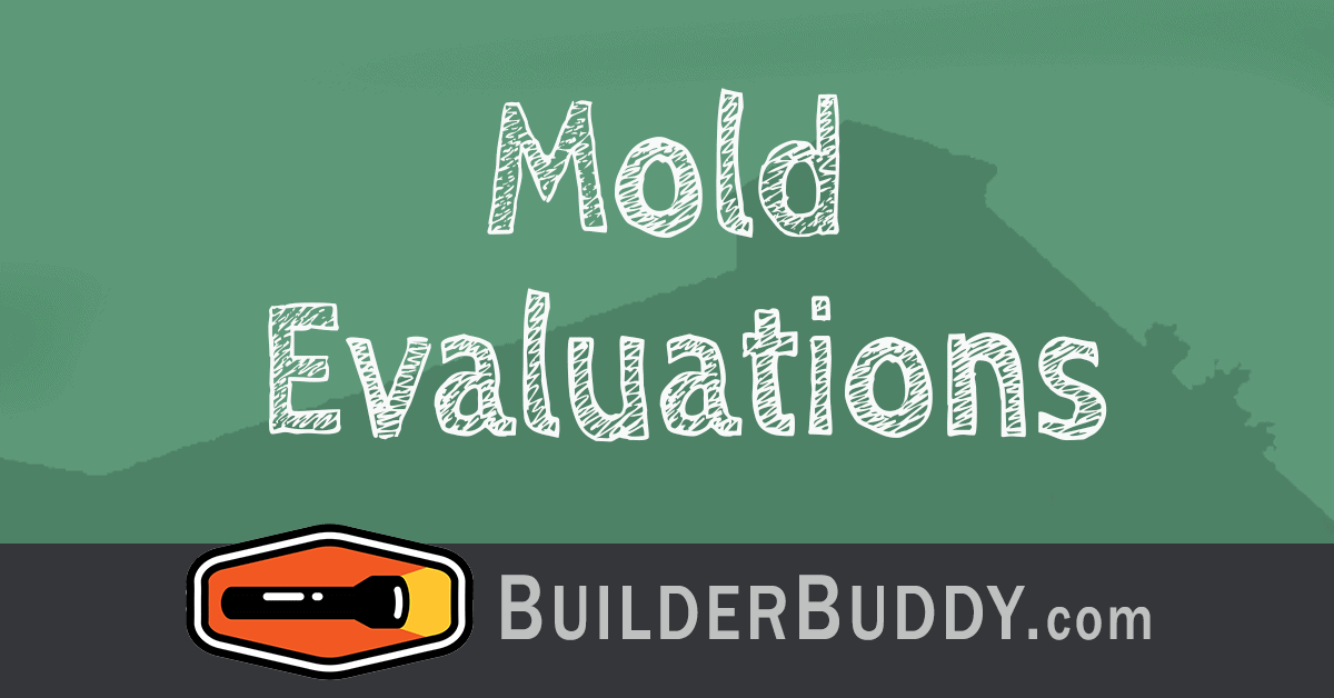 mold evaluations